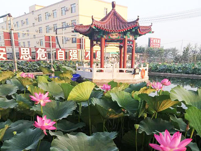 厂区一角